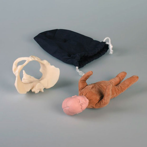 BIOLAB - Modèle de Démonstration de l'Accouchement avec Foetus