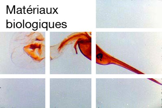 materiaux-biologiques14