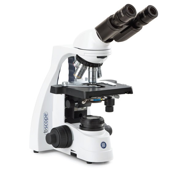 microscope-bscope-bino