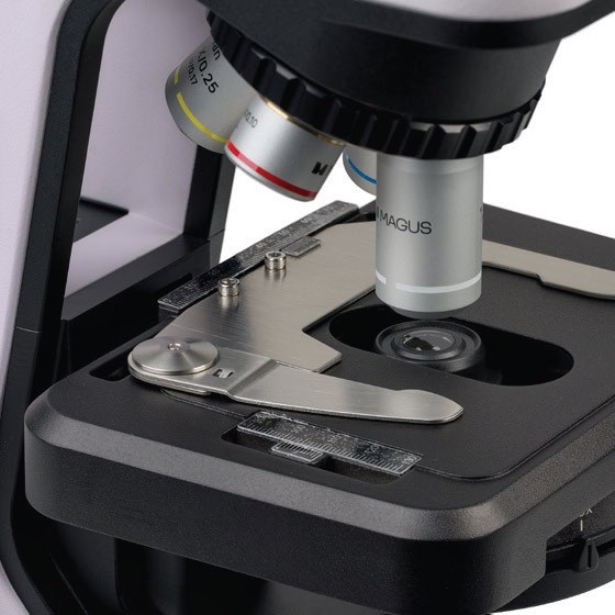 microscope-magnus55