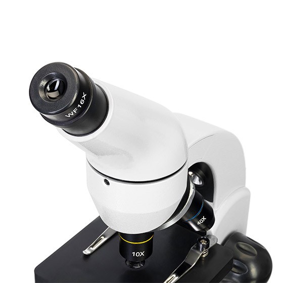 microscopes-50L-color-tete